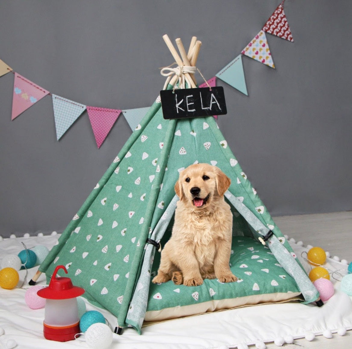 Pet tent kennel